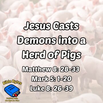 Thumbnail for Jesus Casts Demons into a Herd of Pigs