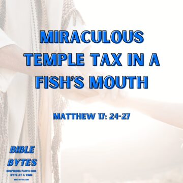 Thumbnail for Miraculous Temple Tax in a Fish’s Mouth