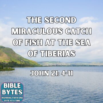 Thumbnail for The Second Miraculous Catch of Fish on the Sea of Tiberias