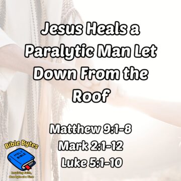 Thumbnail for Jesus Heals a Paralytic Man Let Down From the Roof